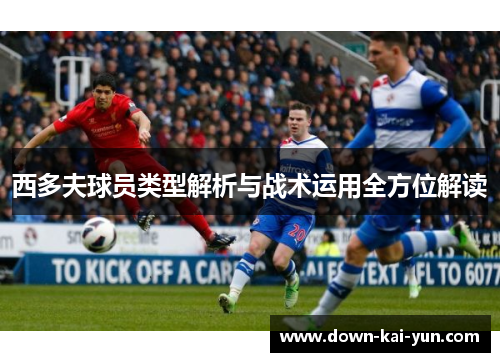 西多夫球员类型解析与战术运用全方位解读