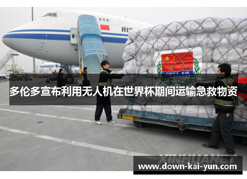 多伦多宣布利用无人机在世界杯期间运输急救物资 多伦多宣布利用无人机在世界杯期间运输急救物资