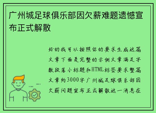 广州城足球俱乐部因欠薪难题遗憾宣布正式解散 广州城足球俱乐部因欠薪难题遗憾宣布正式解散